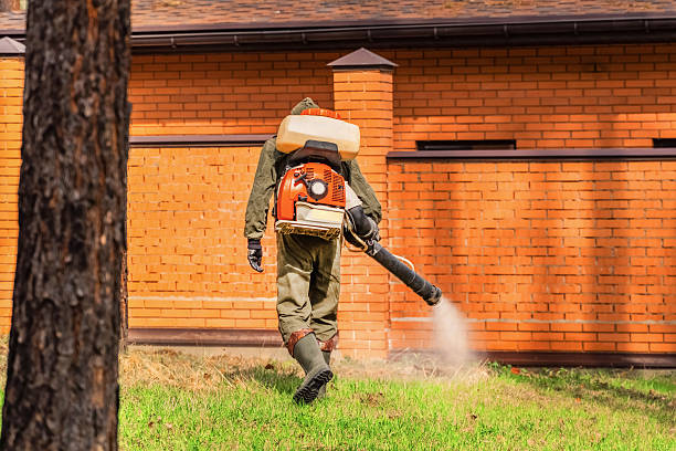 Trusted Termite Control service in High Rolls, NM - Nex Pest Control